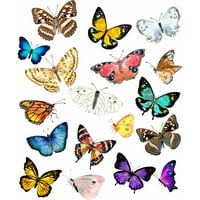 Leptir Botanički prirodni ljubitelj leptira kolekcija djevojke bijeli grafički tee - dizajn ljudi XS