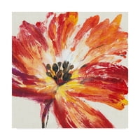 Zaštitni znak likovne umjetnosti 'Fleur Rouge I' Canvas Art by Tim OToole