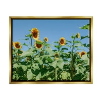 Stupell Industries Thanquil Country Suncokretornice Meadow Sunny Dayme Cvjetovi Fotografija Metalno zlato
