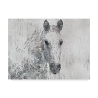 Zaštitni znak Likovna umjetnost 'Dapple Horse I' Canvas umjetnost Irena Orlov